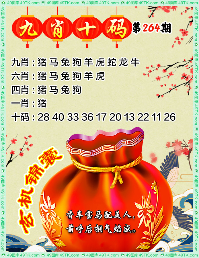 九肖十码