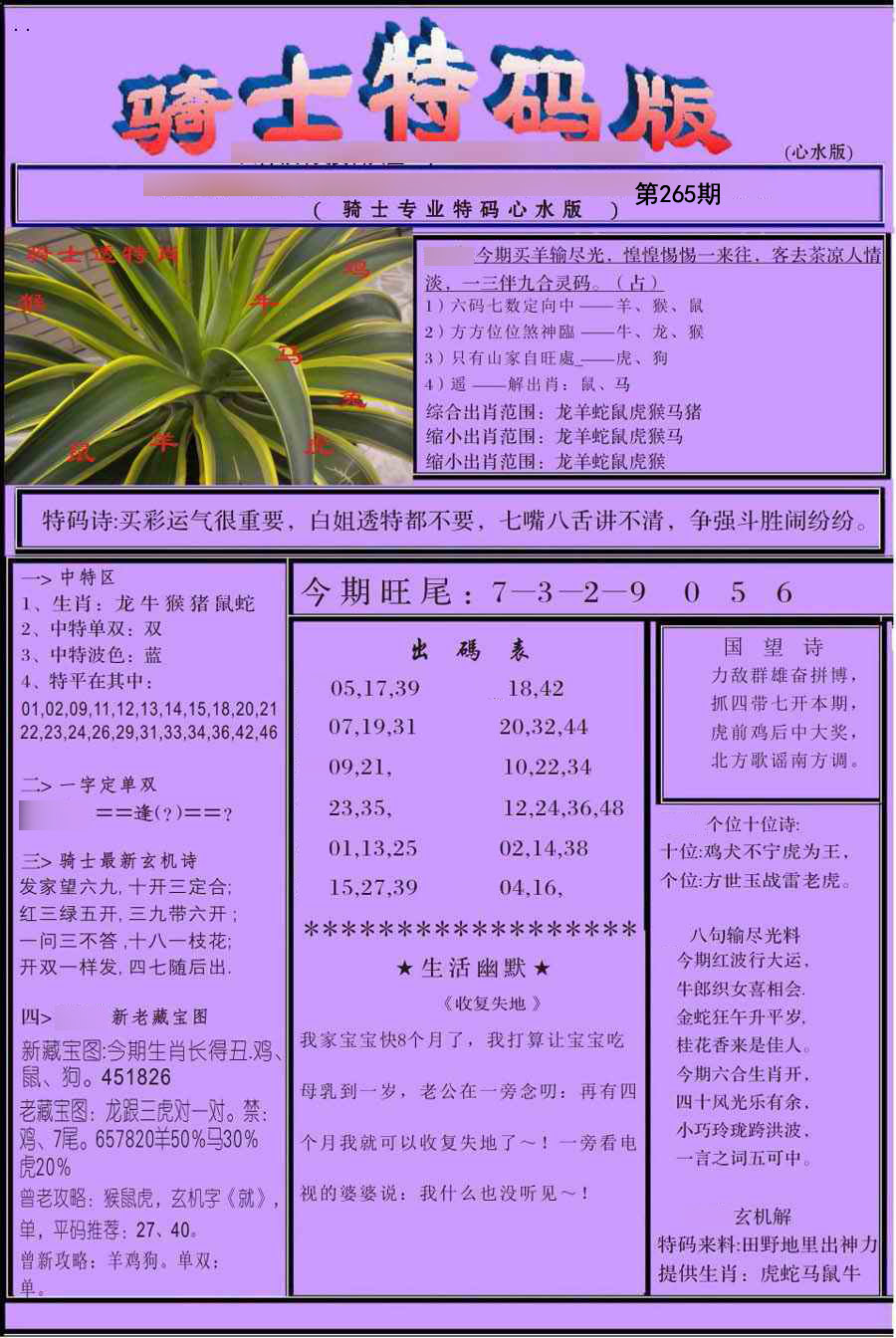 骑士特别