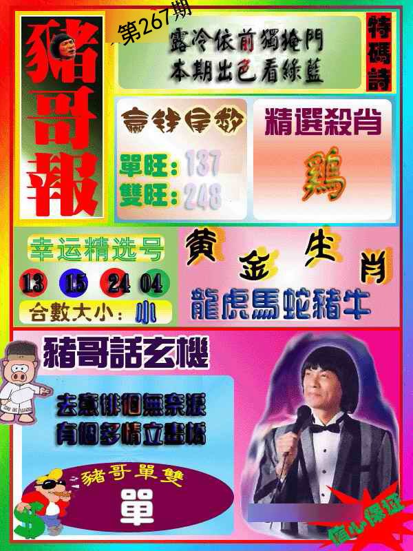 猪哥报