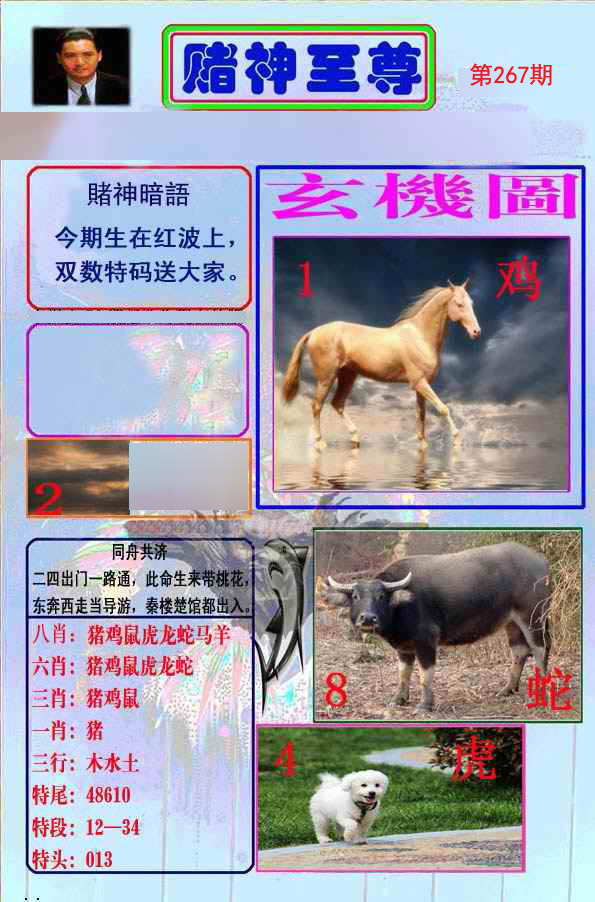 至尊报