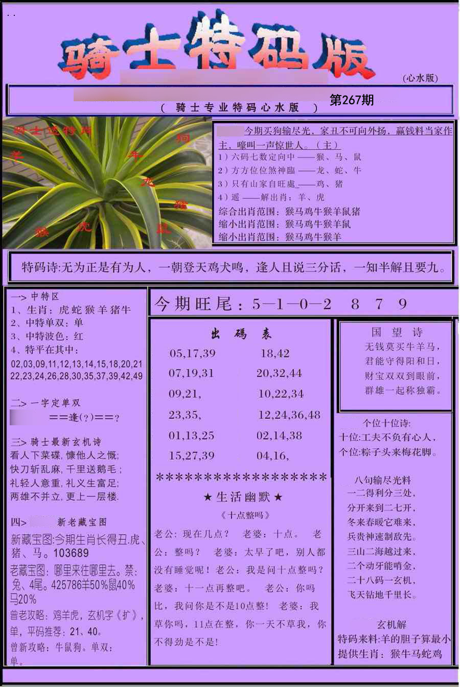 骑士特别