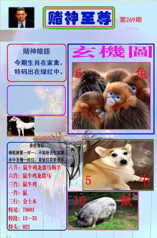 至尊报