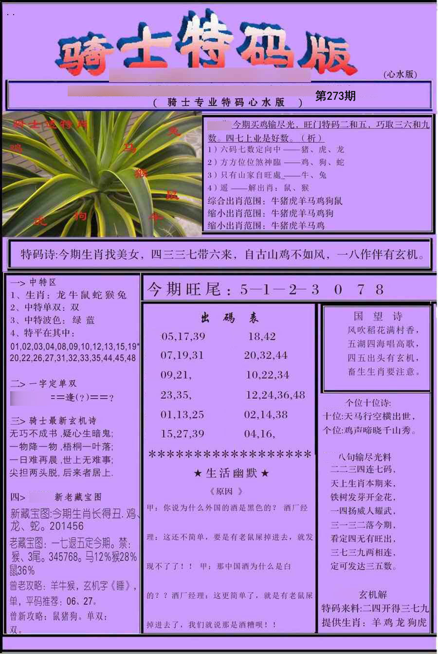 骑士特别