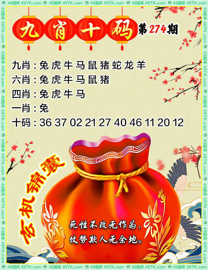 九肖十码