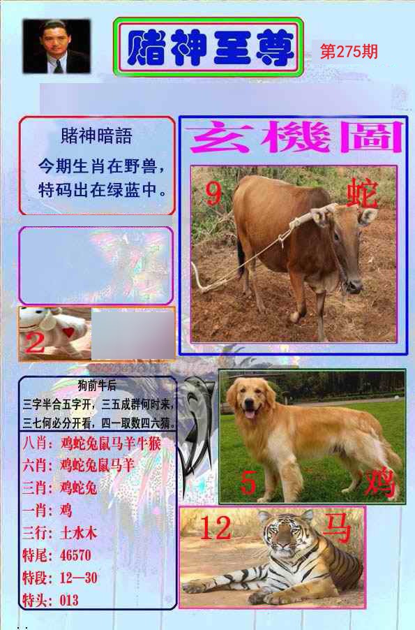 至尊报