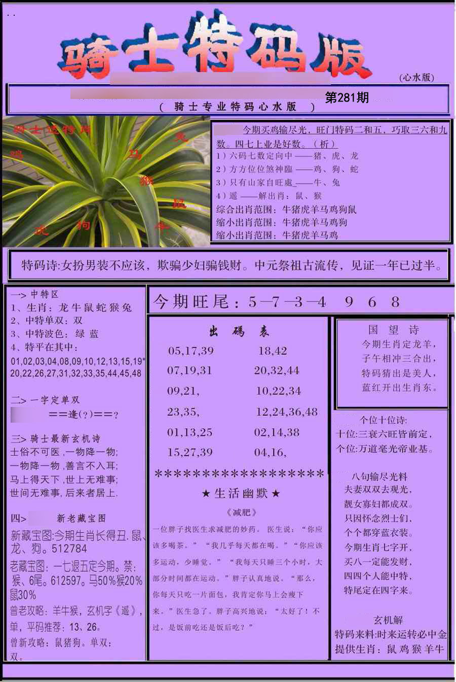 骑士特别