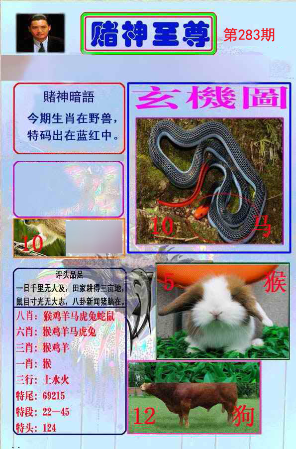 至尊报