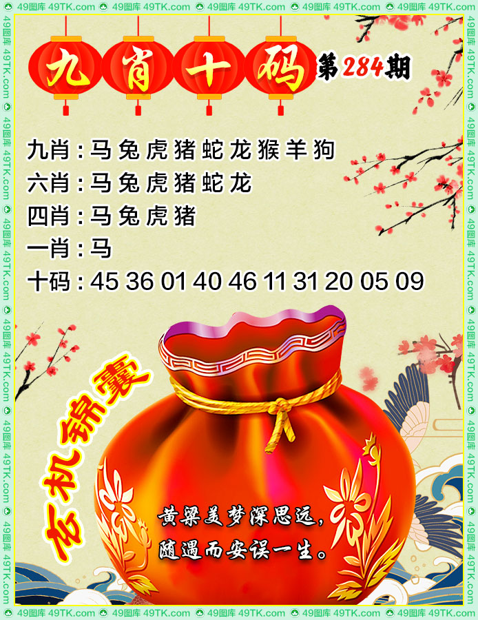 九肖十码