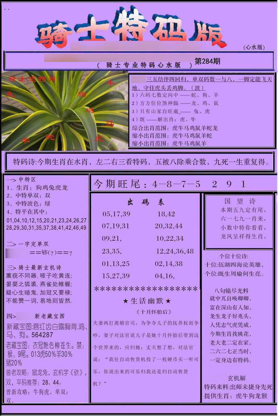 骑士特别