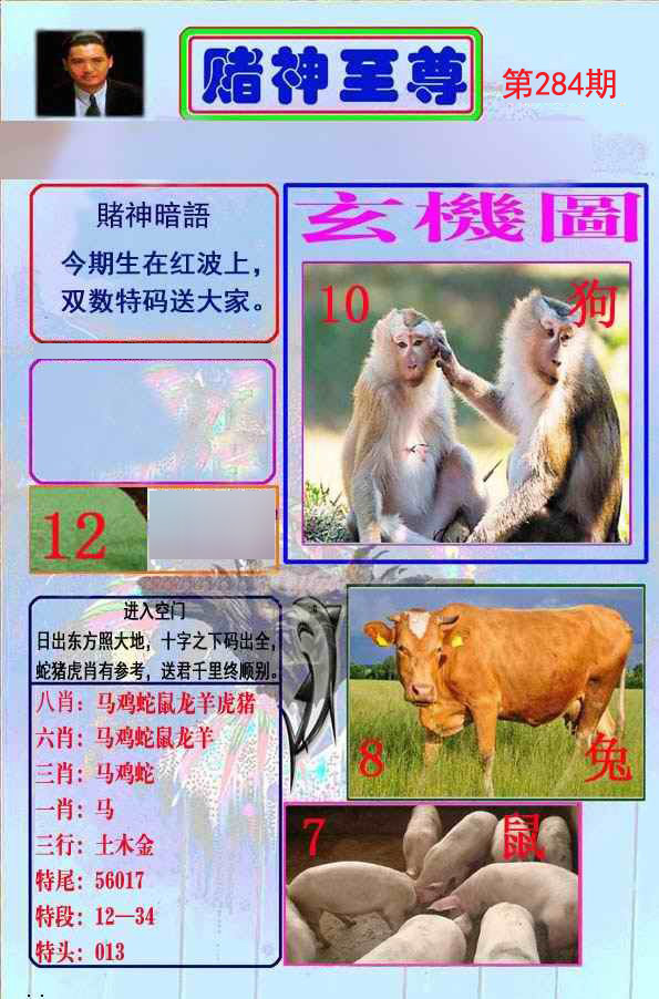 至尊报