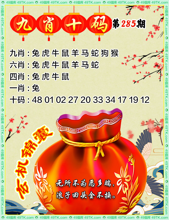 九肖十码