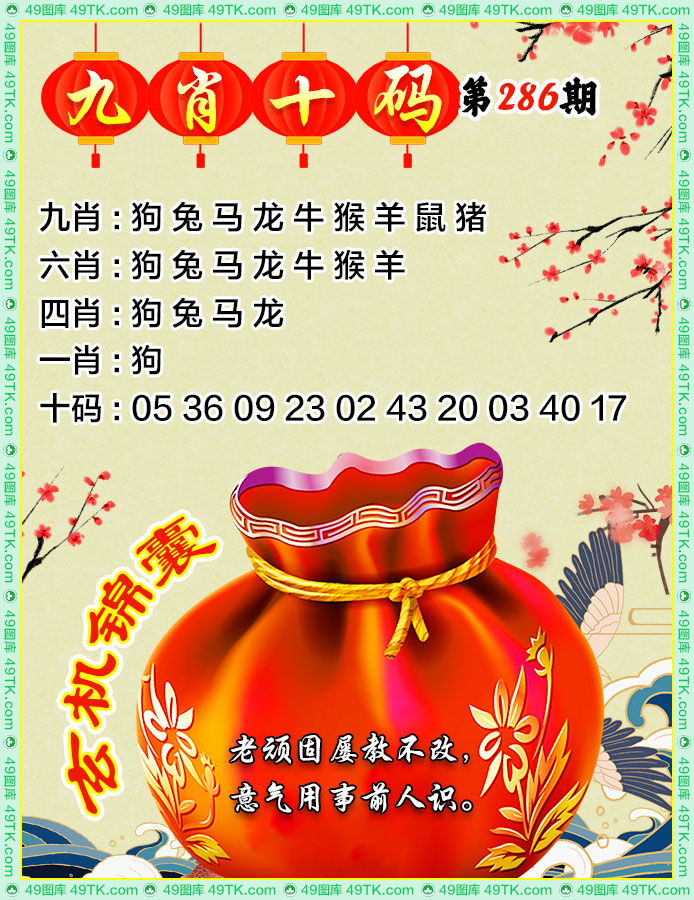 九肖十码