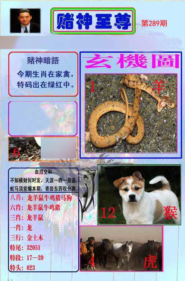 至尊报