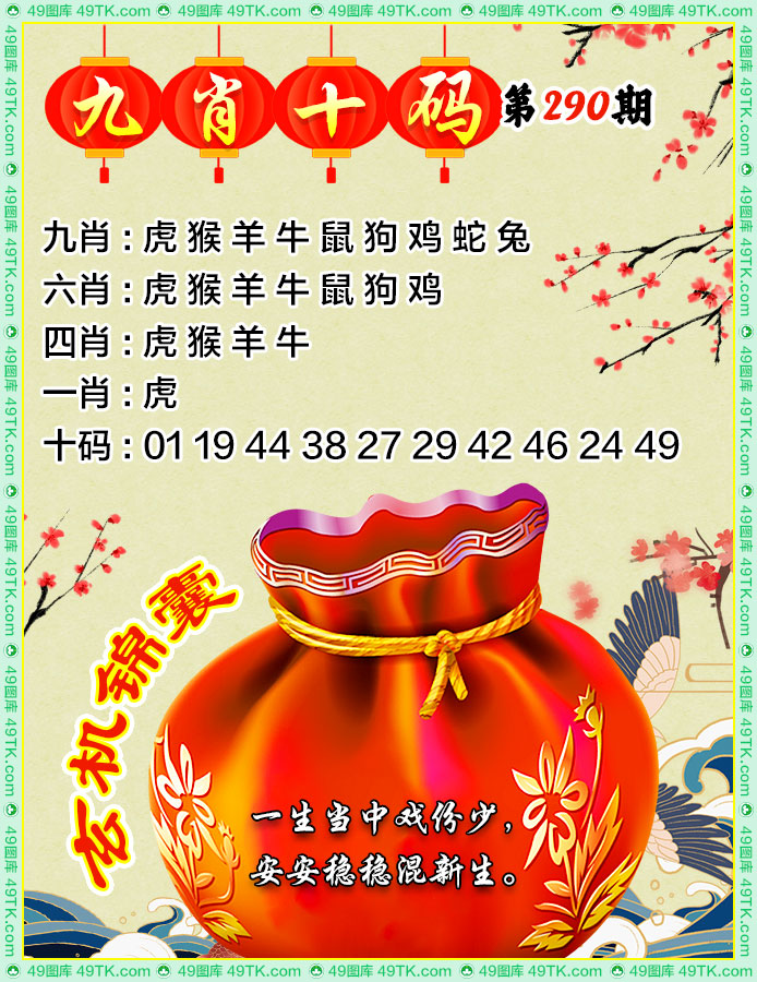 九肖十码