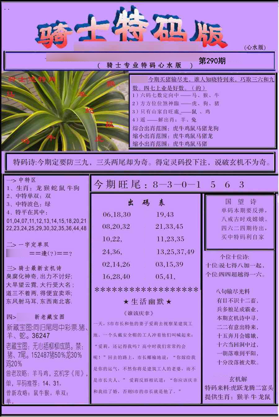 骑士特别