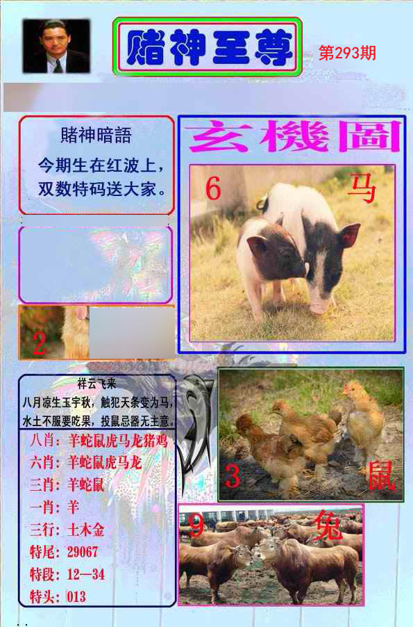 至尊报