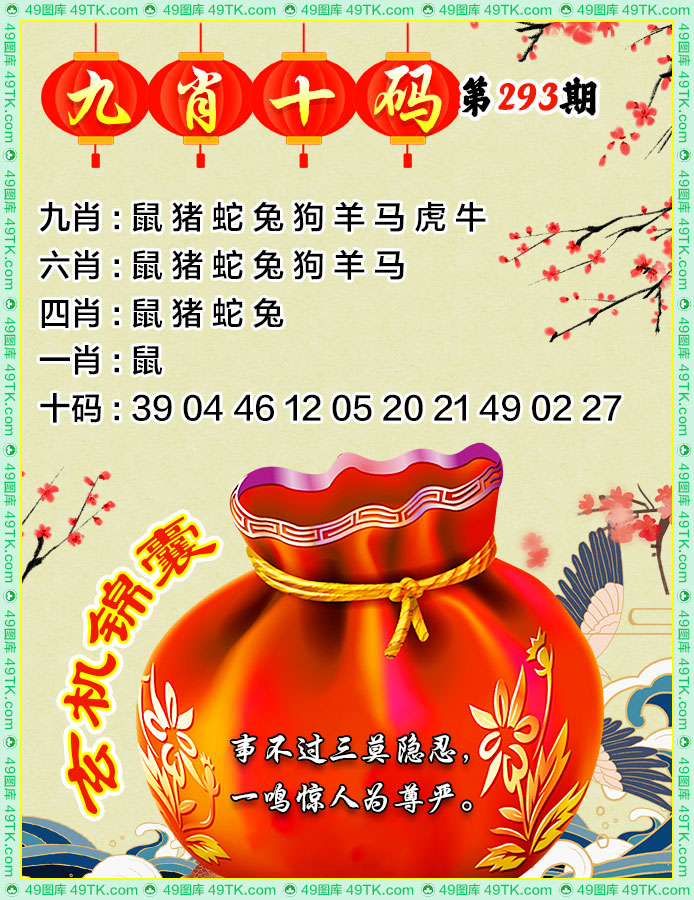 九肖十码