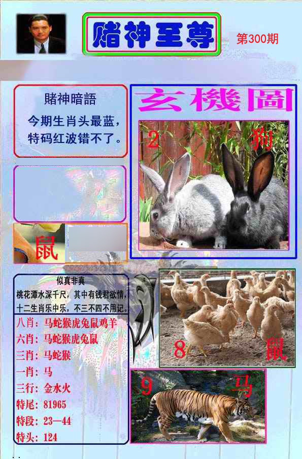 至尊报
