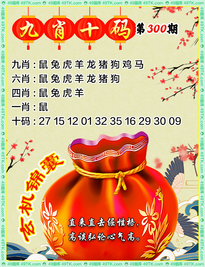 九肖十码