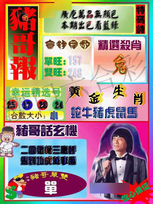 猪哥报