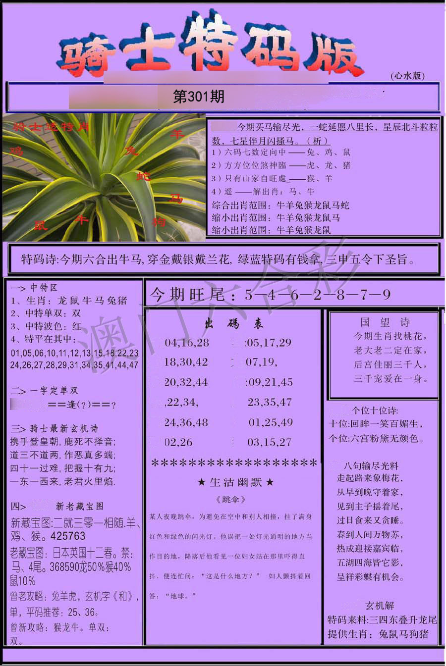 骑士特别