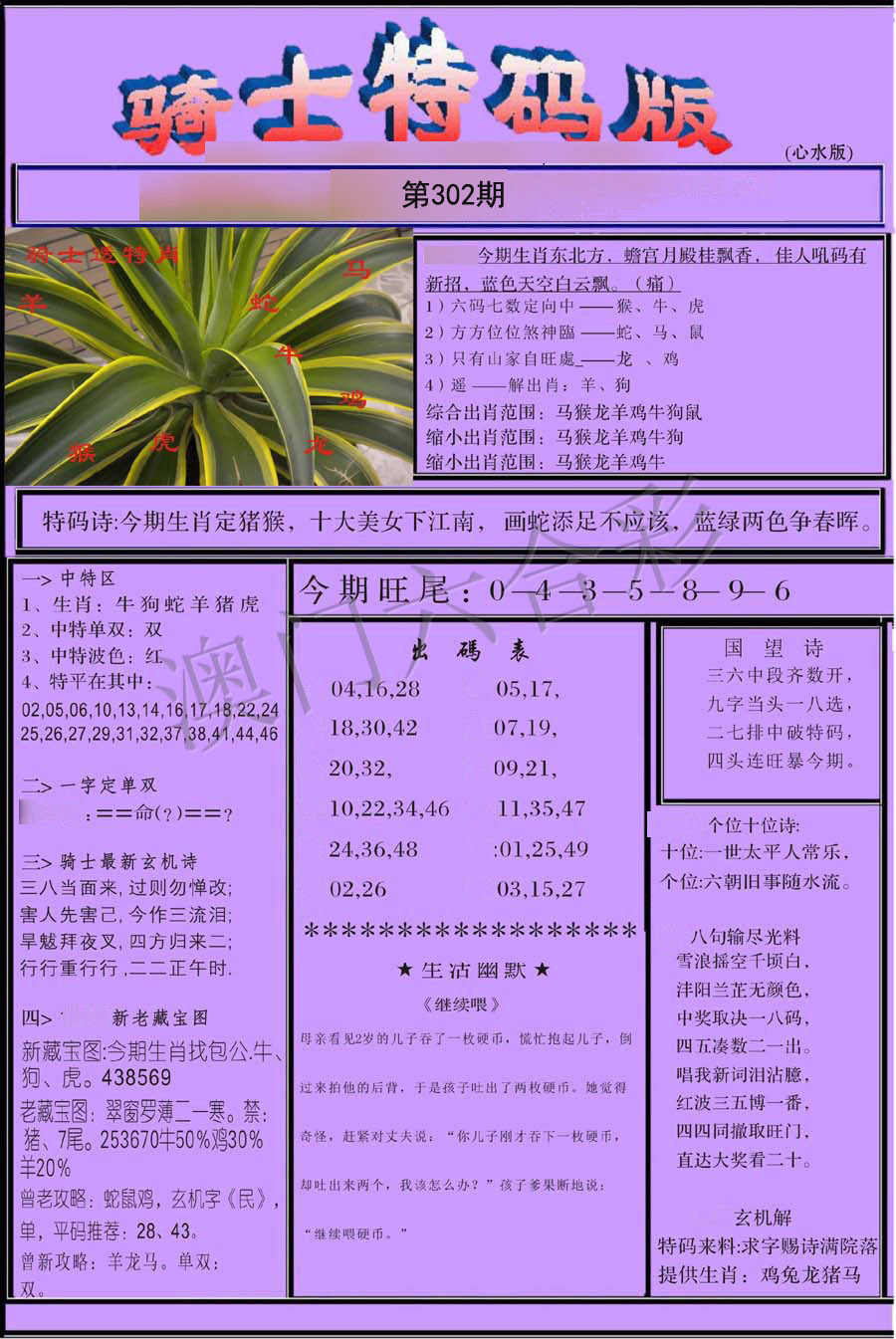 骑士特别