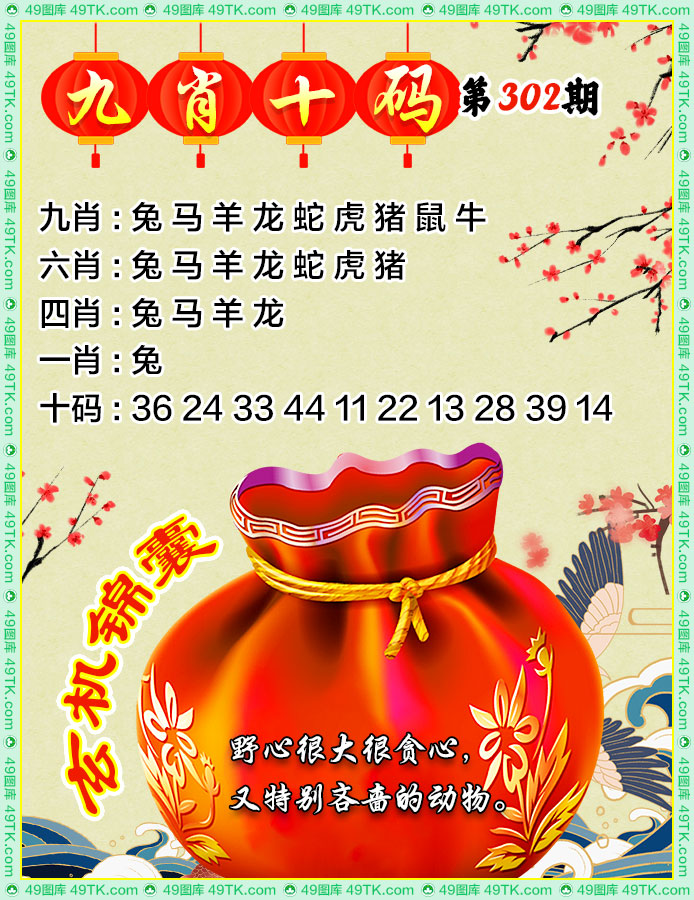 九肖十码
