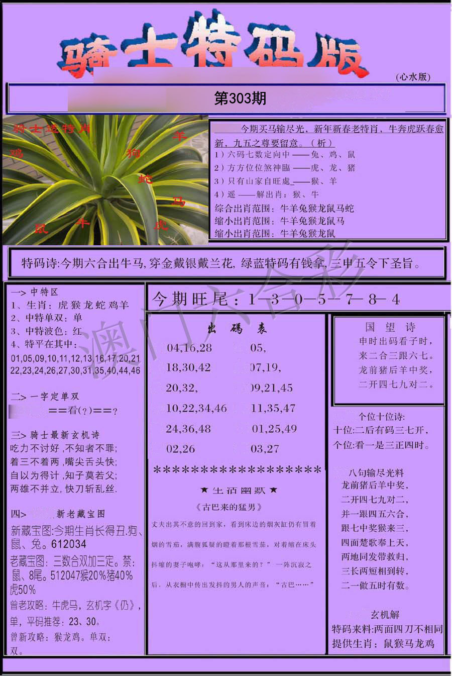 骑士特别