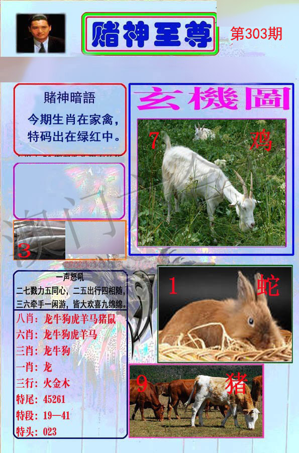 至尊报