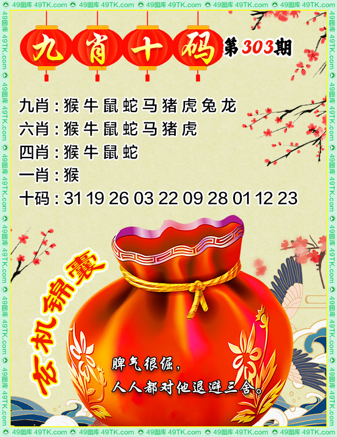 九肖十码