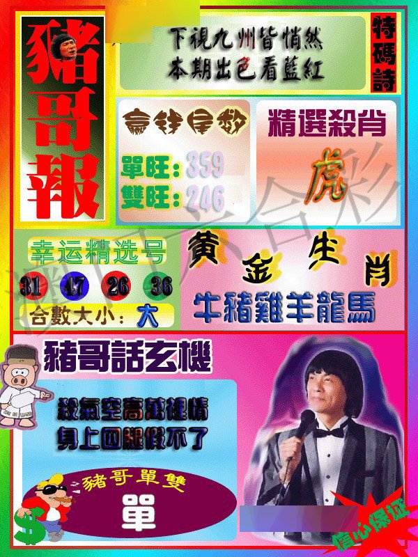 猪哥报